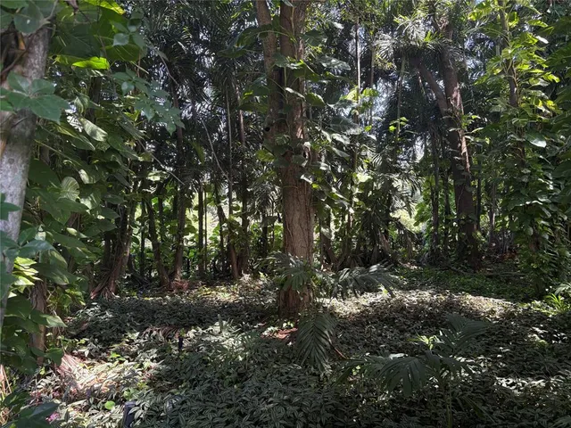 a living room with a sink and furniture