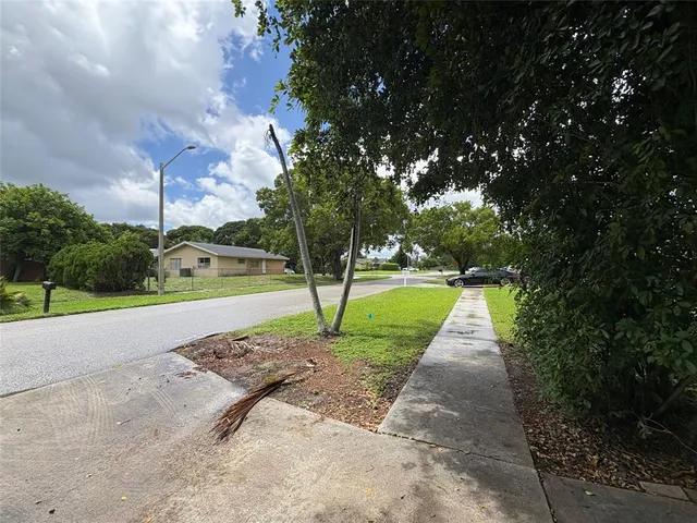 a view of a park with large trees