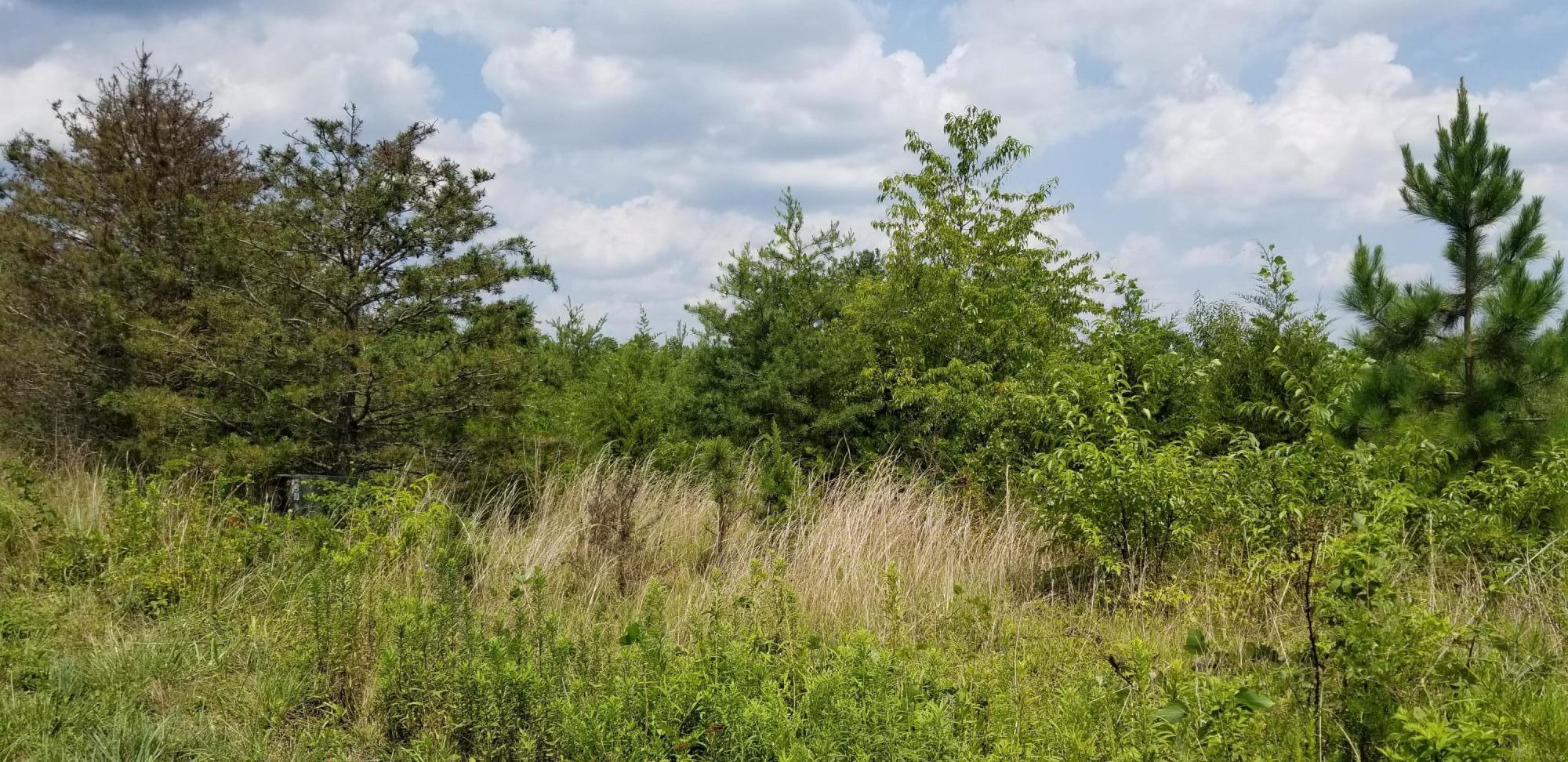 Lot 3 Hatchett Road Penhook, VA 24137 - Photo 2 of 13