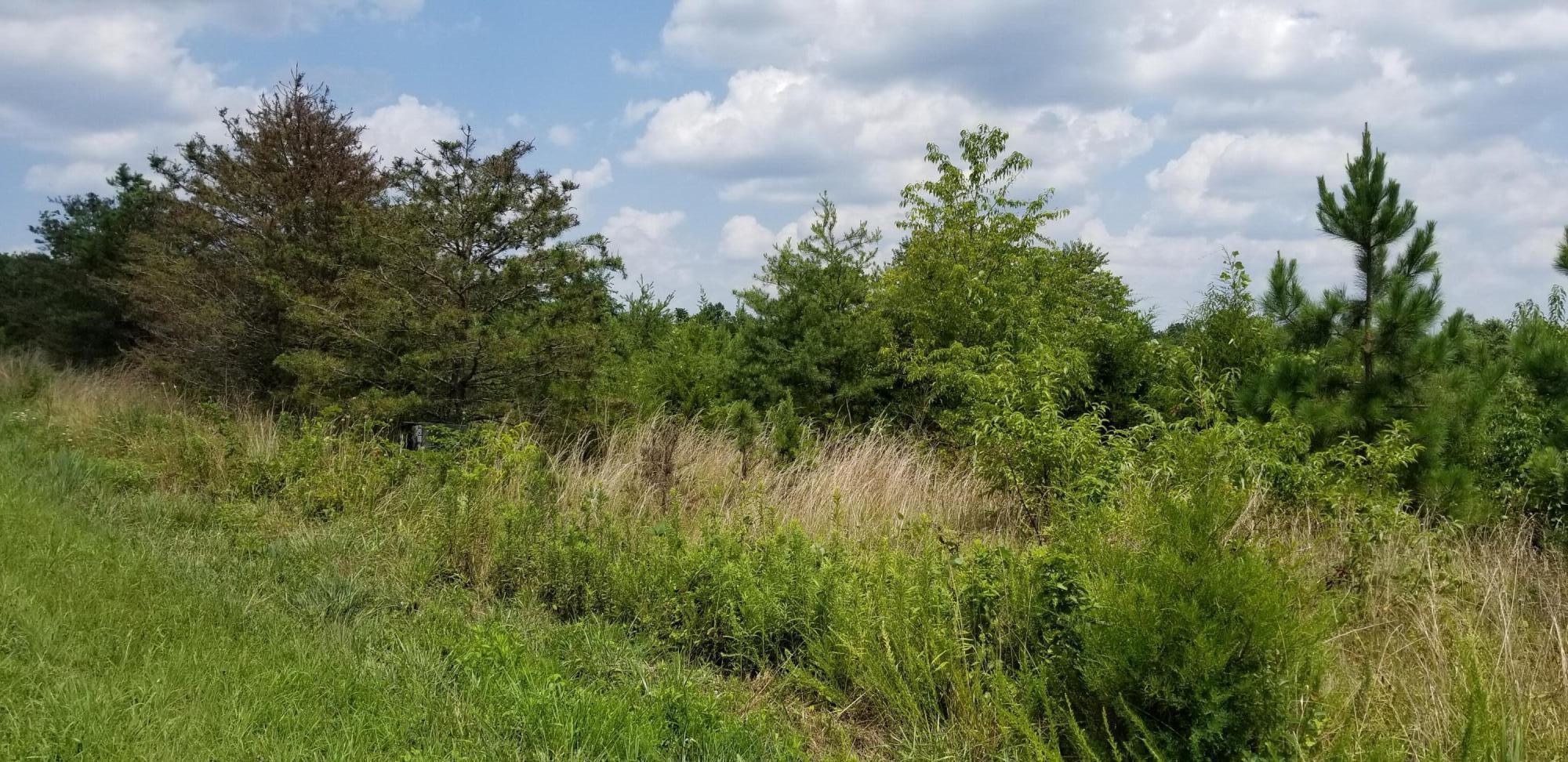 Lot 3 Hatchett Road Penhook, VA 24137 - Photo 5 of 13 a view of a garden