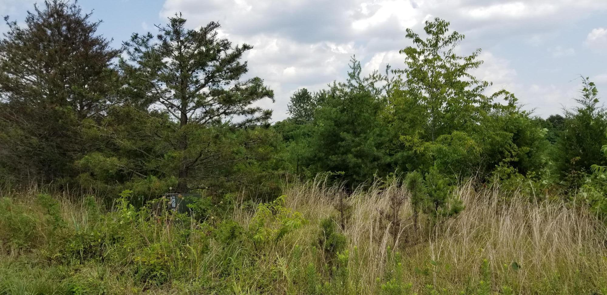 Lot 3 Hatchett Road Penhook, VA 24137 - Photo 7 of 13 a view of a lush green forest