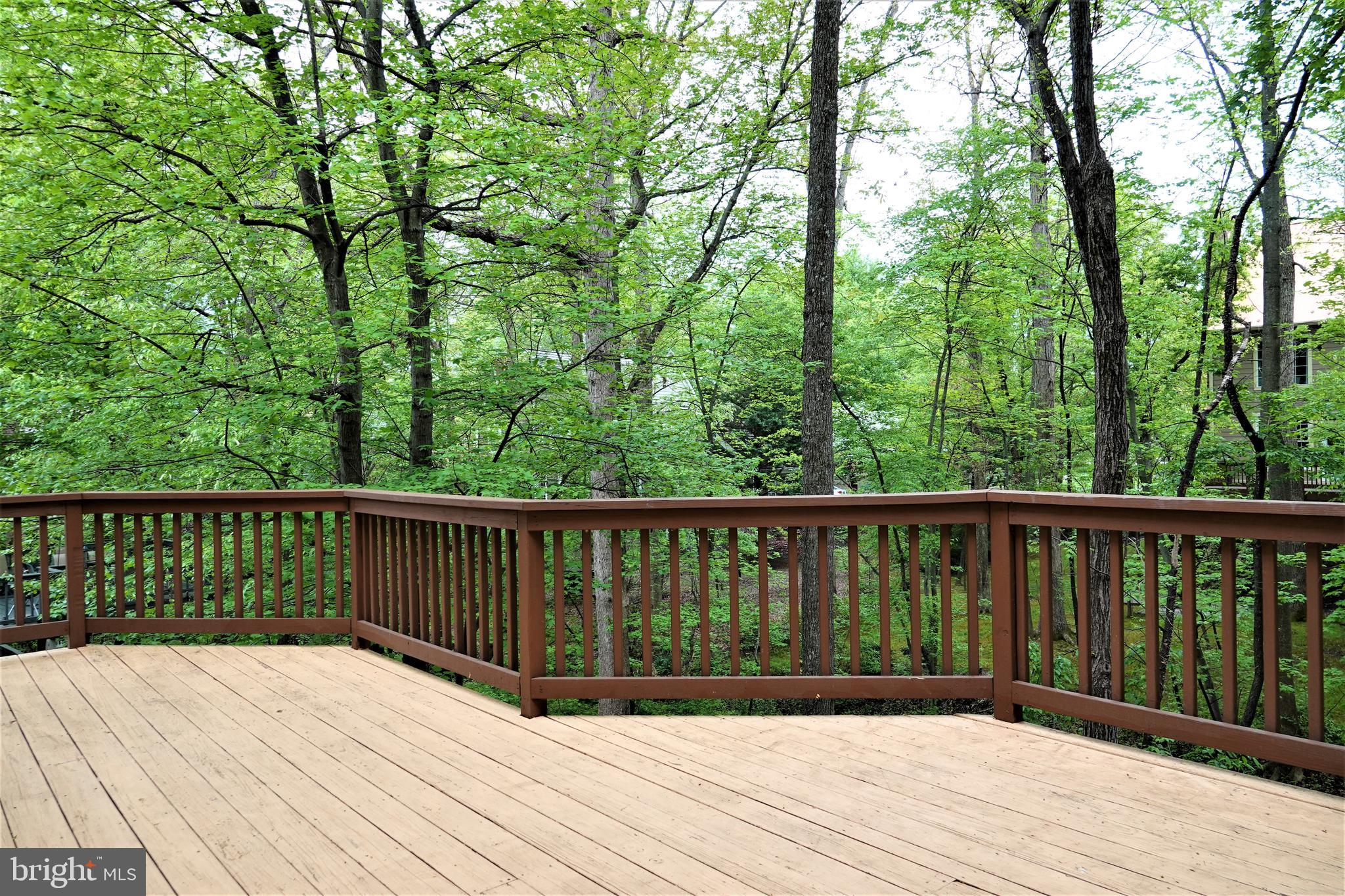 114 Treehaven Street Gaithersburg, MD 20878 - Photo 54 of 61