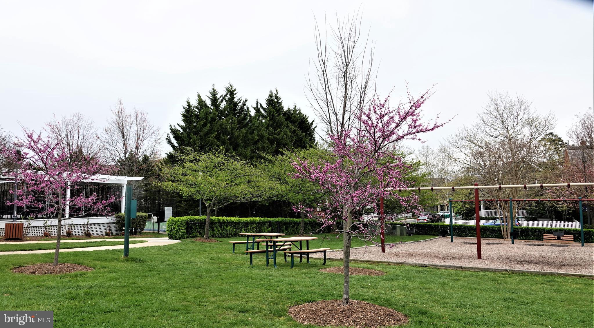 114 Treehaven Street Gaithersburg, MD 20878 - Photo 55 of 61