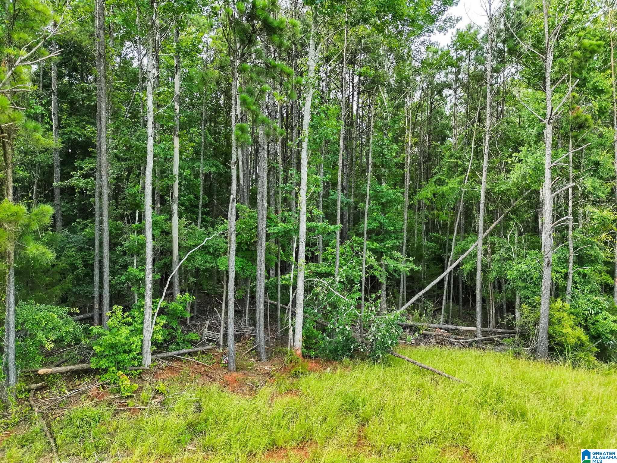 520 County Road, Unit 20 Verbena, AL 36091 - Photo 12 of 19