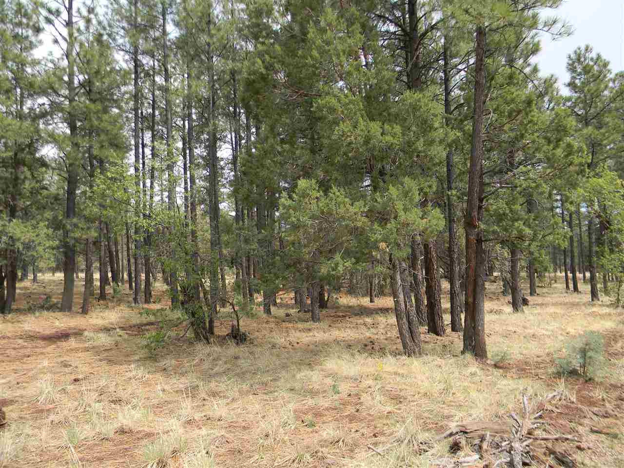 1111 Fire House Lane Pinetop, AZ 85935 - Photo 1 of 13