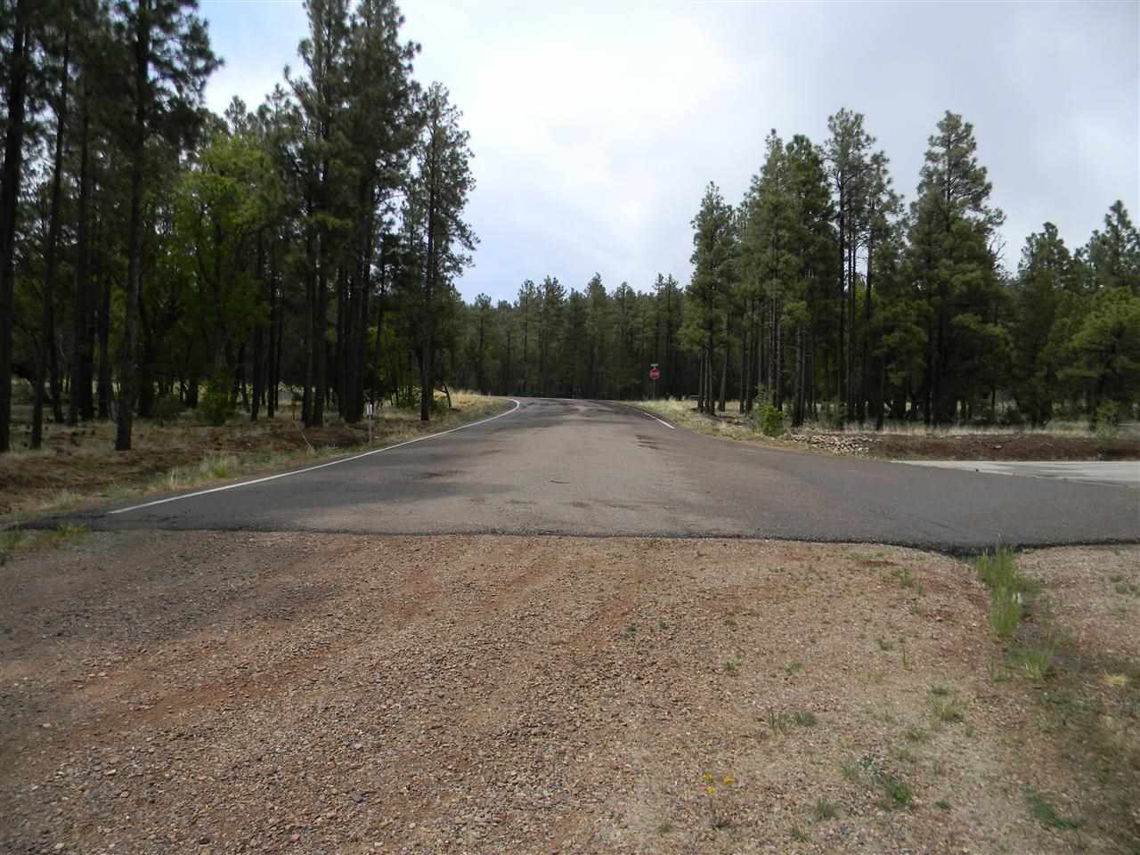 1111 Fire House Lane Pinetop, AZ 85935 - Photo 11 of 13