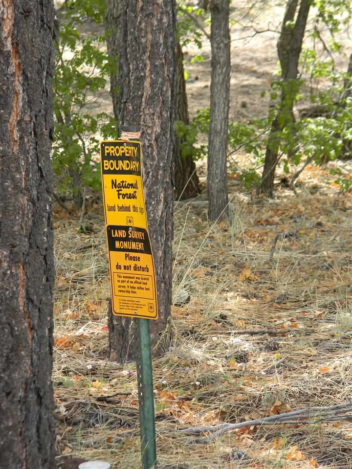 1111 Fire House Lane Pinetop, AZ 85935 - Photo 13 of 13