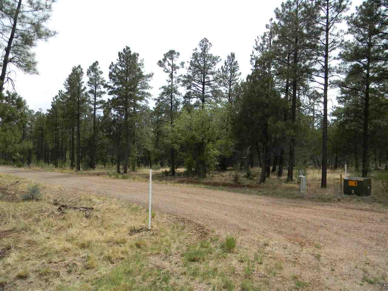 1111 Fire House Lane Pinetop, AZ 85935 - Photo 2 of 13