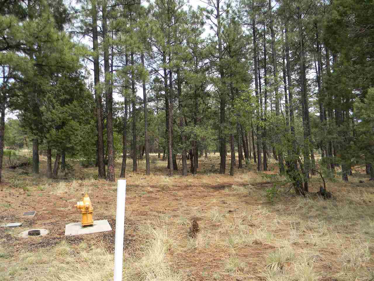 1111 Fire House Lane Pinetop, AZ 85935 - Photo 5 of 13