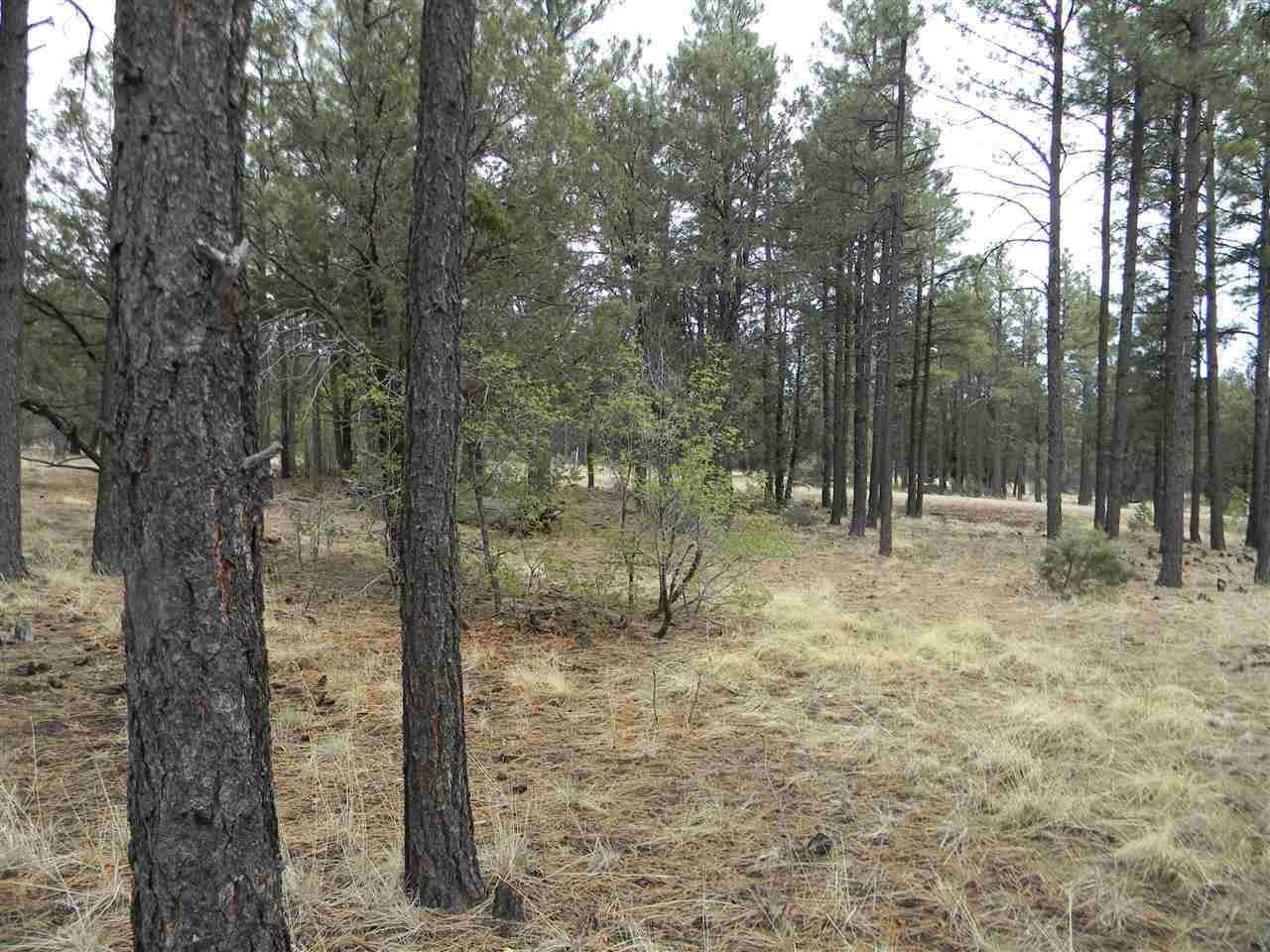 1111 Fire House Lane Pinetop, AZ 85935 - Photo 6 of 13
