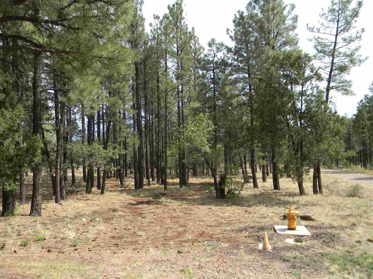 1111 Fire House Lane Pinetop, AZ 85935 - Photo 7 of 13