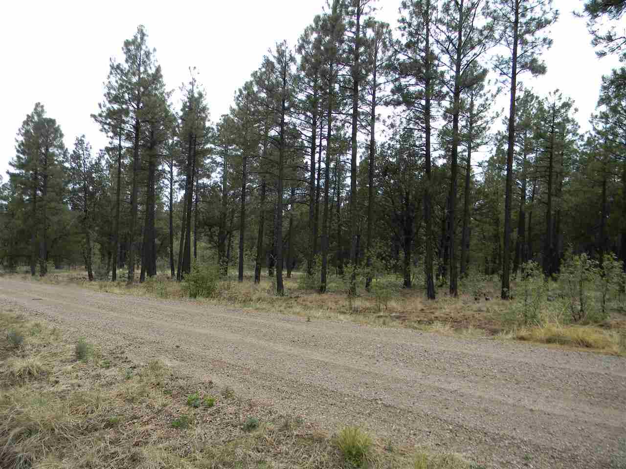 1111 Fire House Lane Pinetop, AZ 85935 - Photo 8 of 13