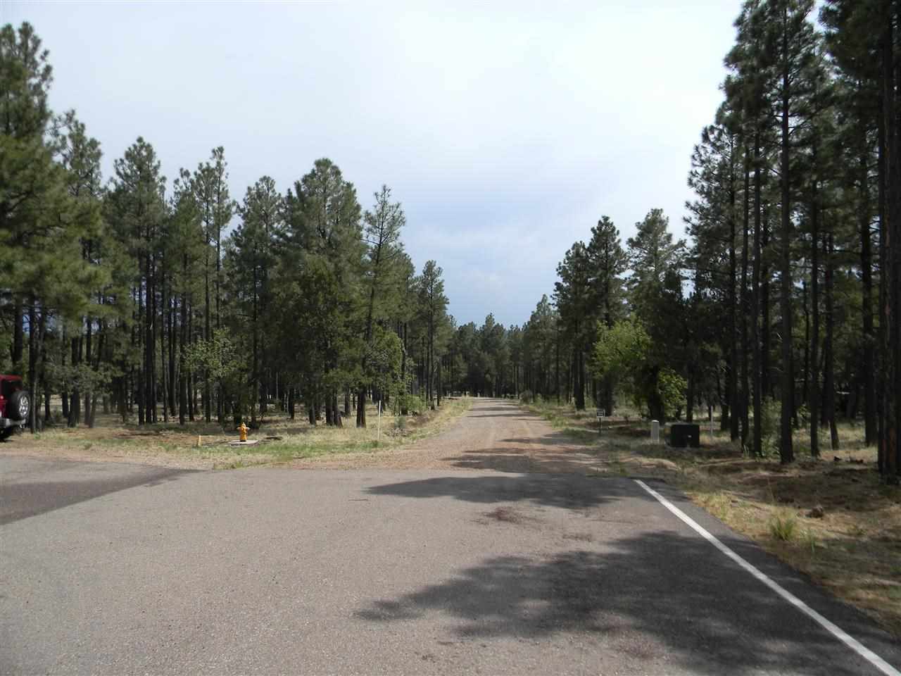 1111 Fire House Lane Pinetop, AZ 85935 - Photo 10 of 13