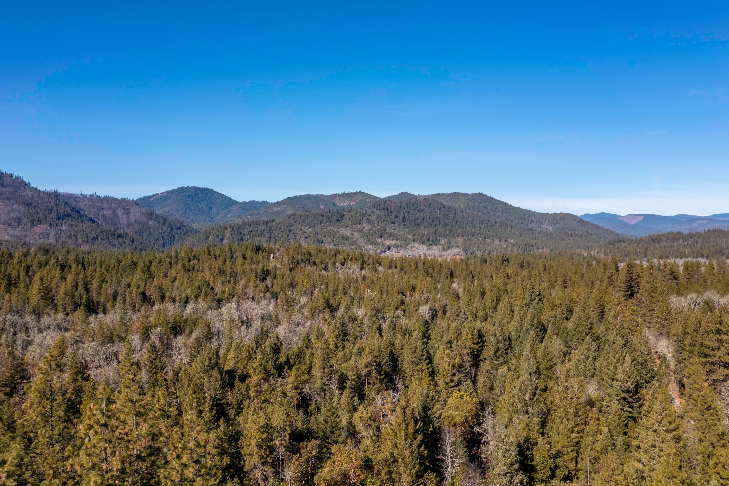 16575 Meadows Road White City, OR 97503 - Photo 45 of 46 DJI_0322