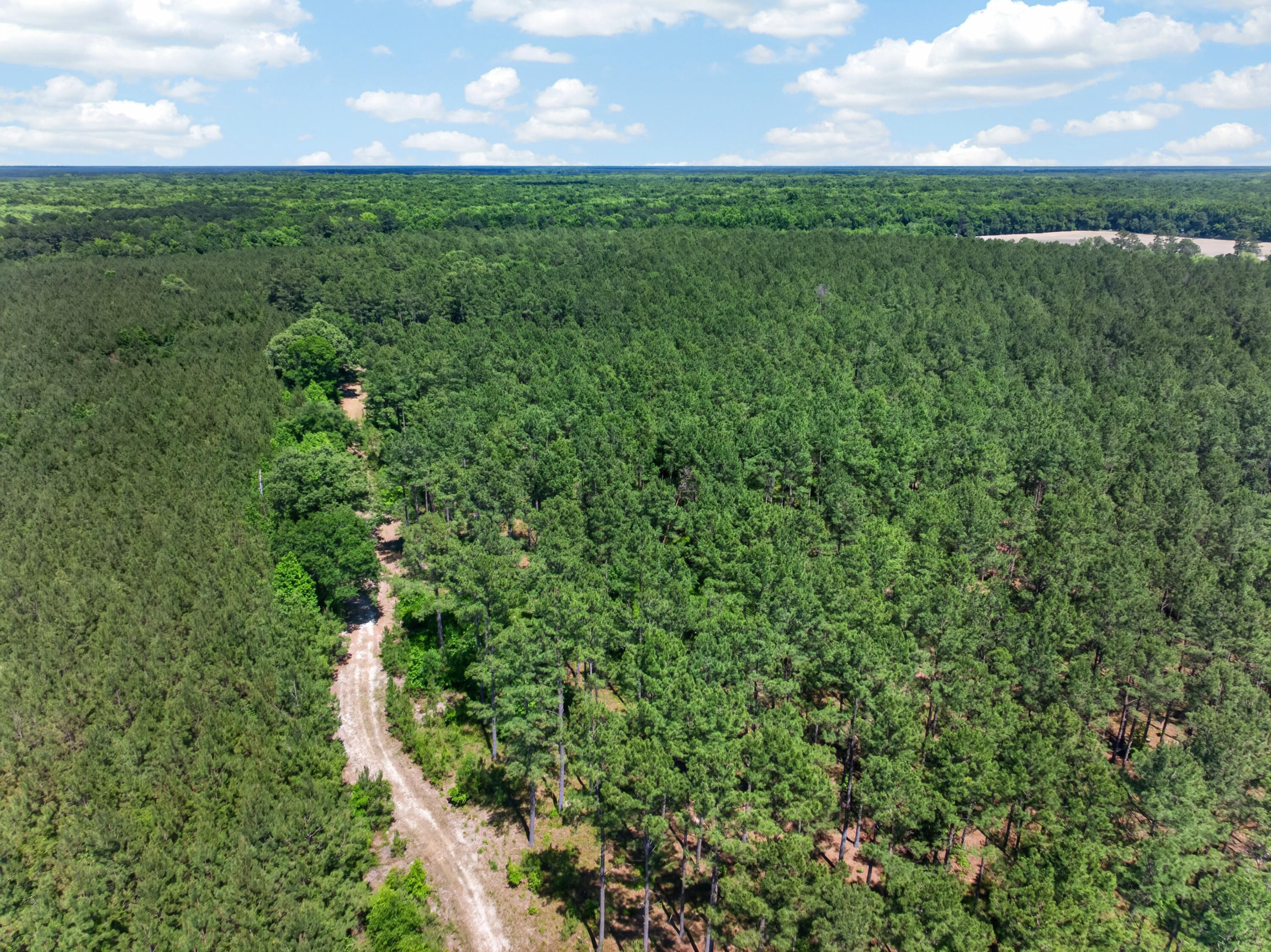 5120 North Brewington Road, Unit 10 Alcolu, SC 29001 - Photo 32 of 40 DJI_20260521140636_0088_D