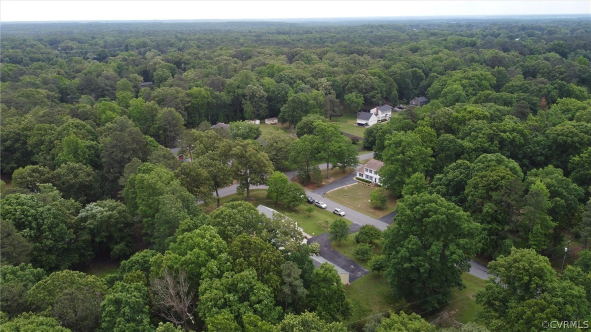 2617 Lampworth Road Henrico, VA 23231 - Photo 41 of 45 an aerial view of forest