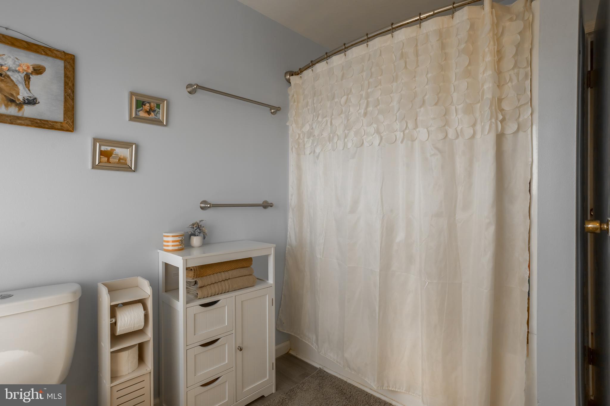 10380 Chapel Road Easton, MD 21601 - Photo 46 of 95 a bathroom with a sink a toilet and shower curtain