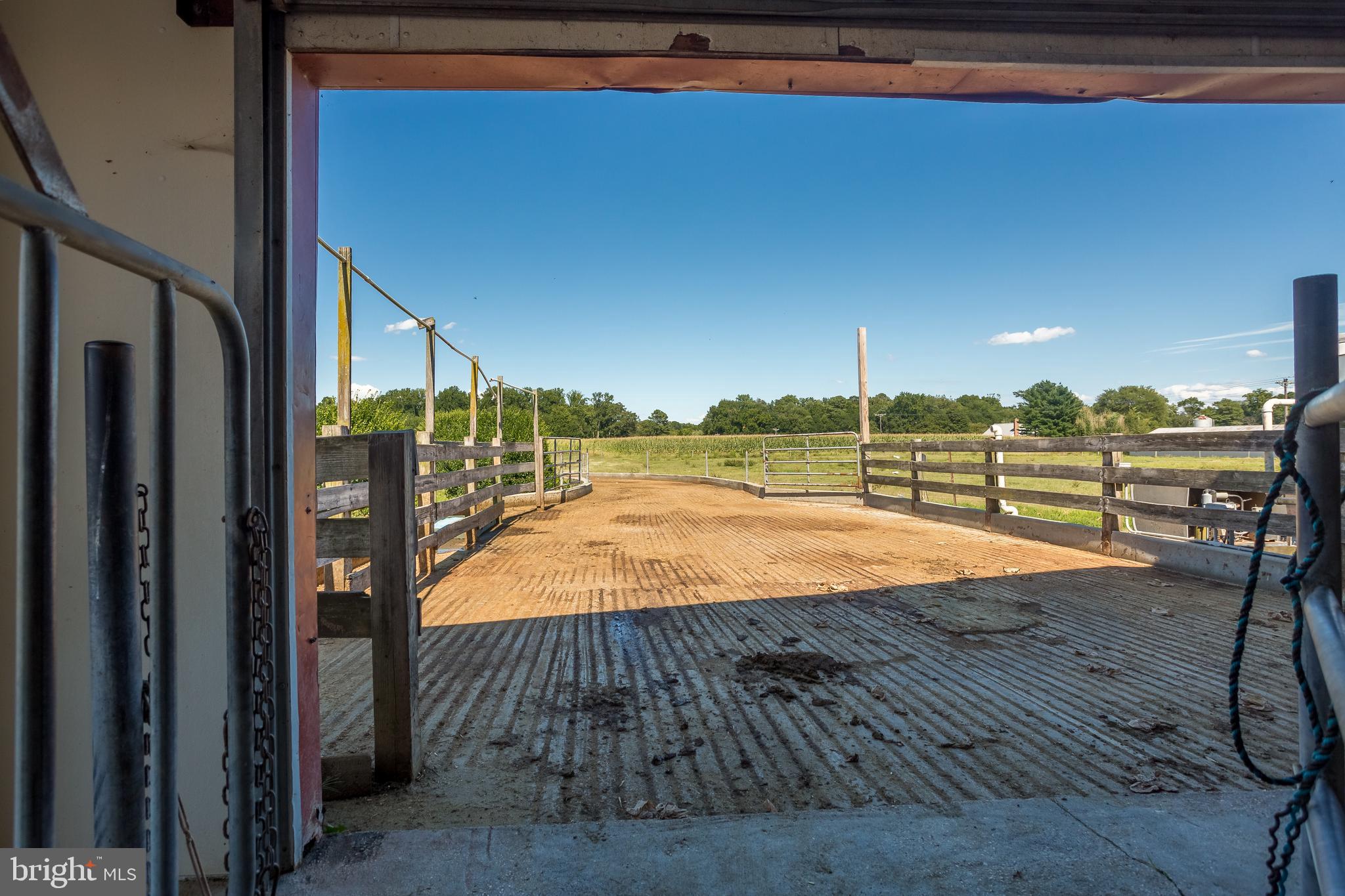 10380 Chapel Road Easton, MD 21601 - Photo 62 of 95