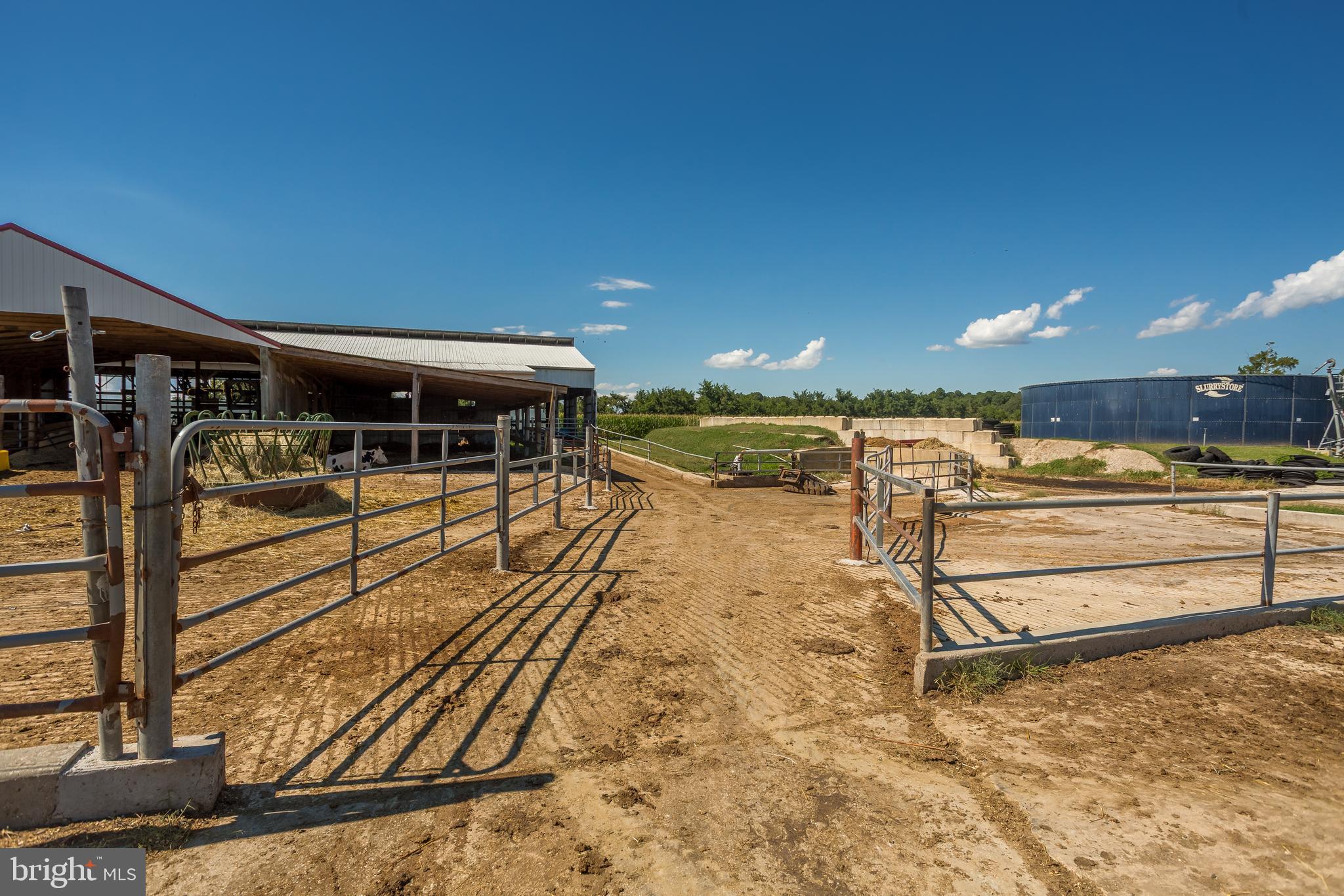 10380 Chapel Road Easton, MD 21601 - Photo 63 of 95