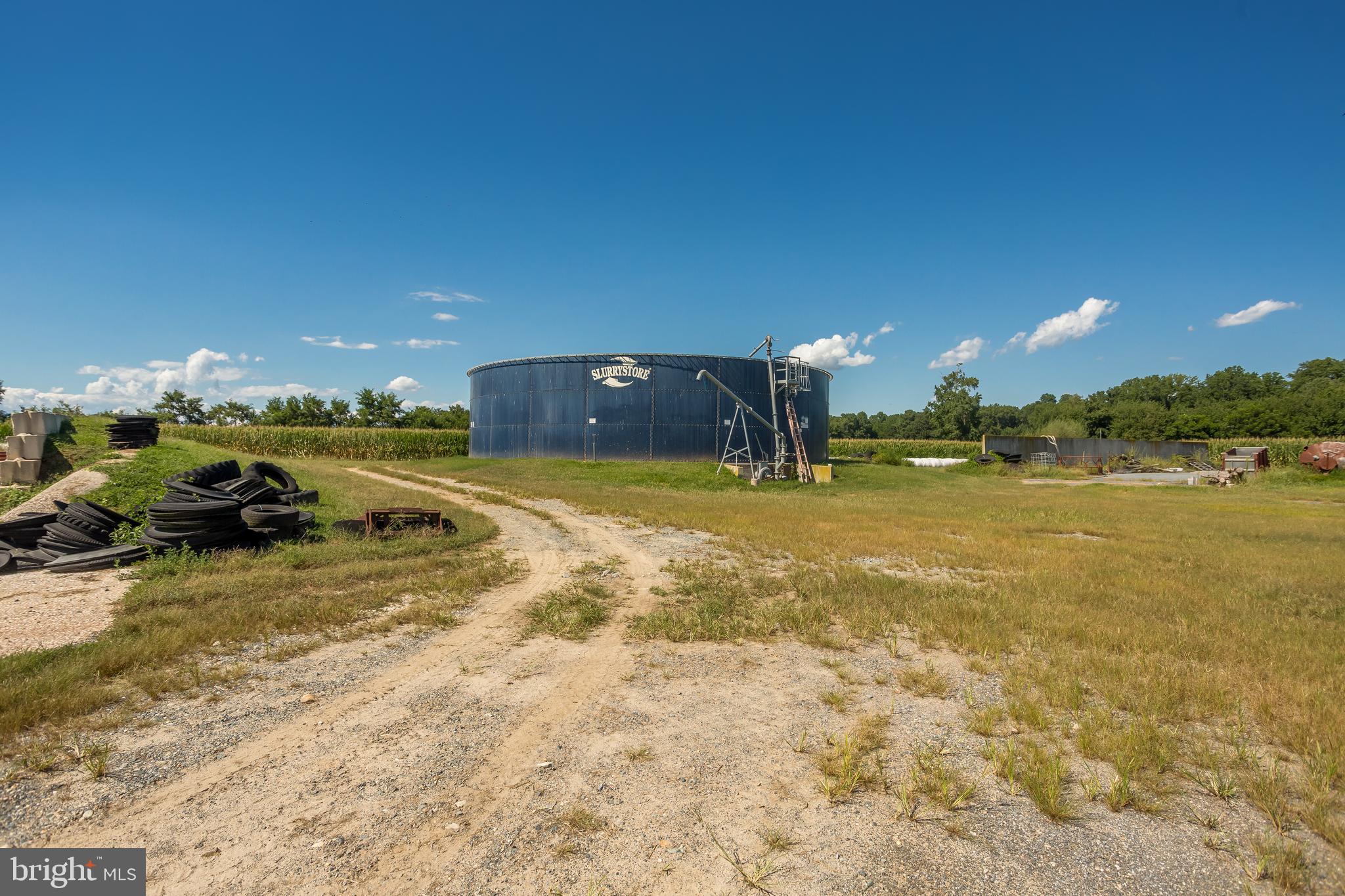 10380 Chapel Road Easton, MD 21601 - Photo 68 of 95