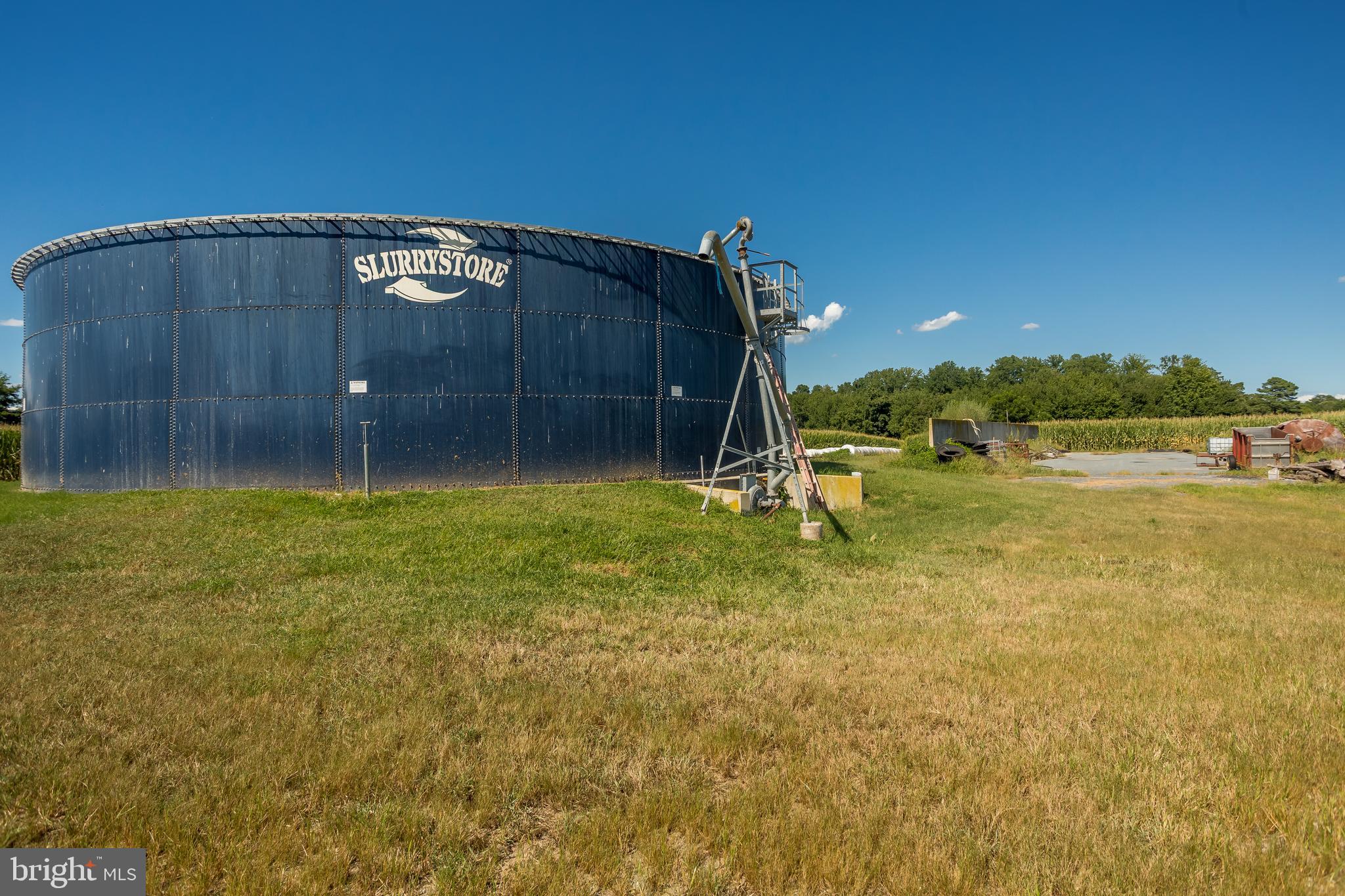10380 Chapel Road Easton, MD 21601 - Photo 69 of 95 a view of a backyard