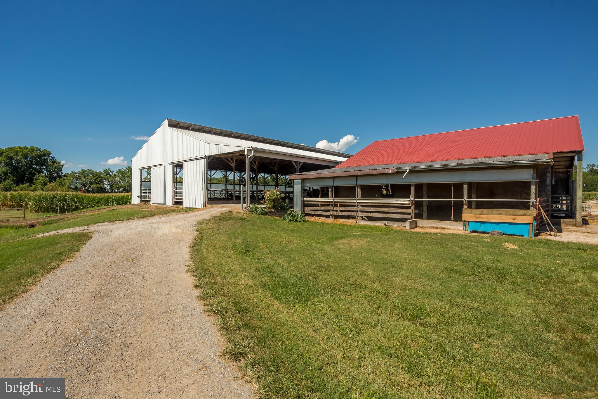 10380 Chapel Road Easton, MD 21601 - Photo 72 of 95 a front view of a house with a yard