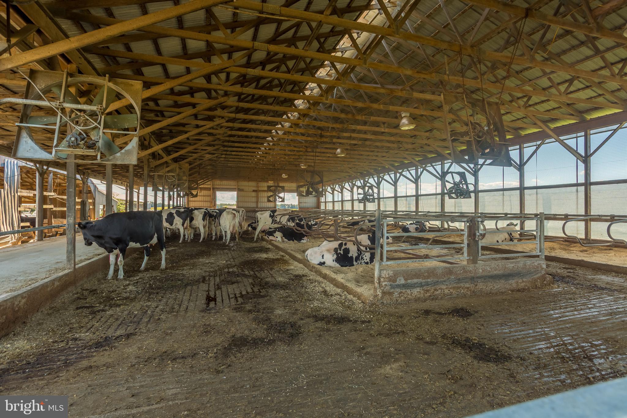 10380 Chapel Road Easton, MD 21601 - Photo 74 of 95