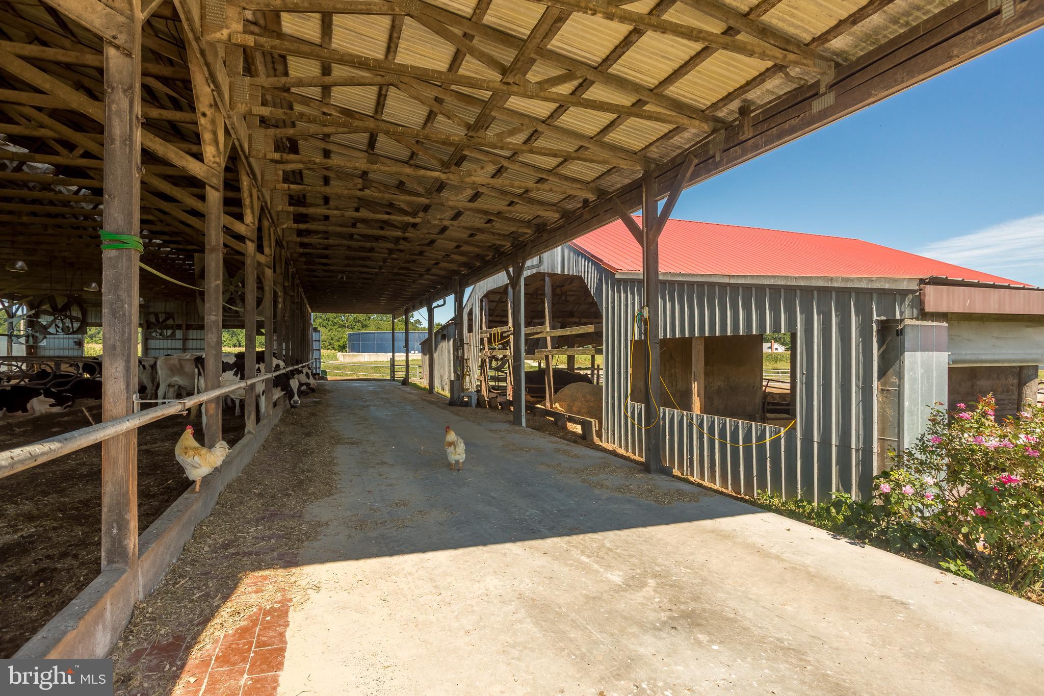 10380 Chapel Road Easton, MD 21601 - Photo 76 of 95