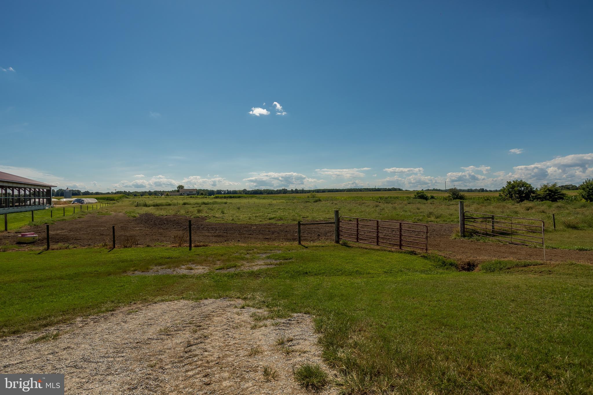 10380 Chapel Road Easton, MD 21601 - Photo 77 of 95 a view of a field with an ocean