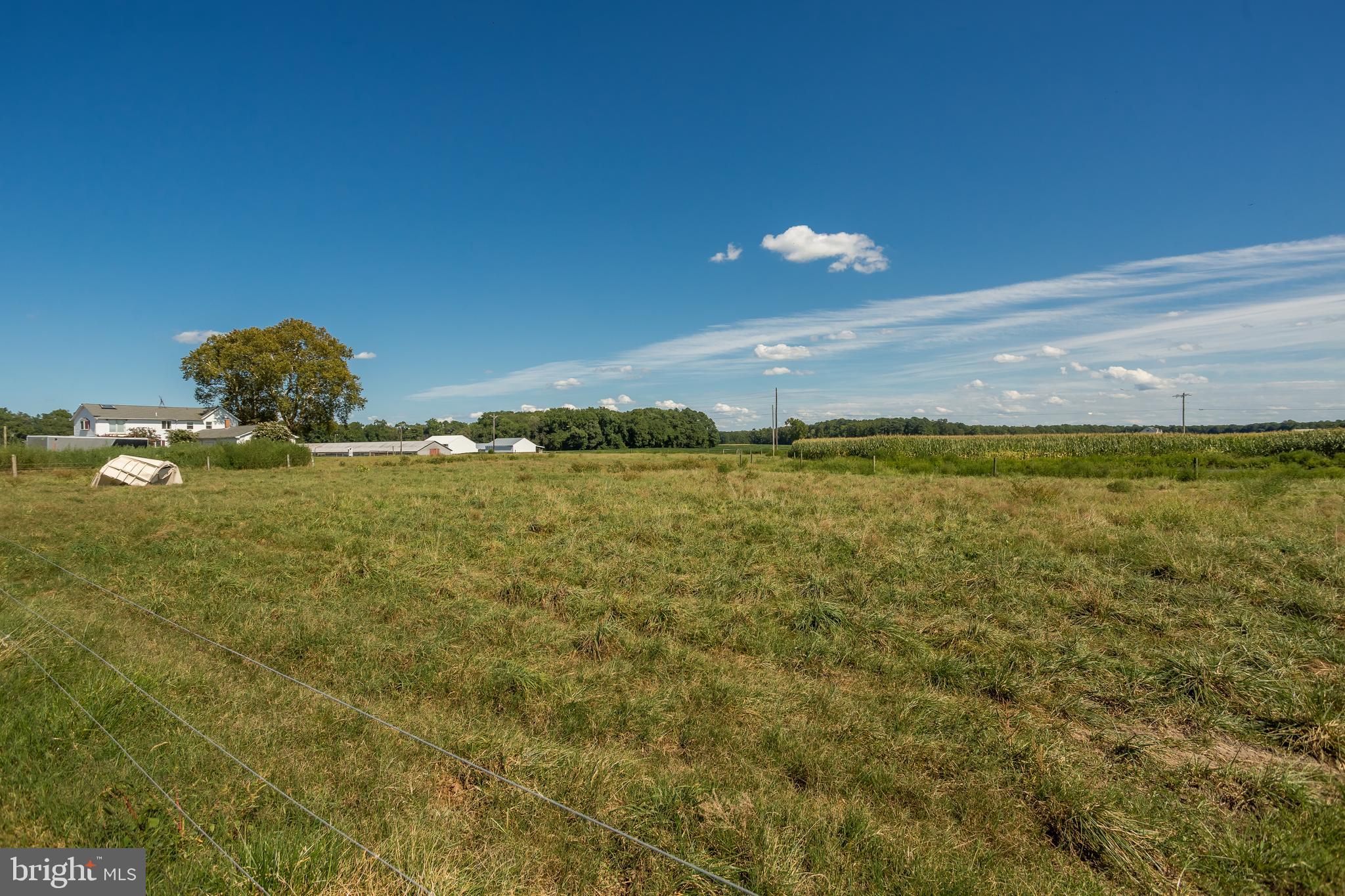 10380 Chapel Road Easton, MD 21601 - Photo 82 of 95