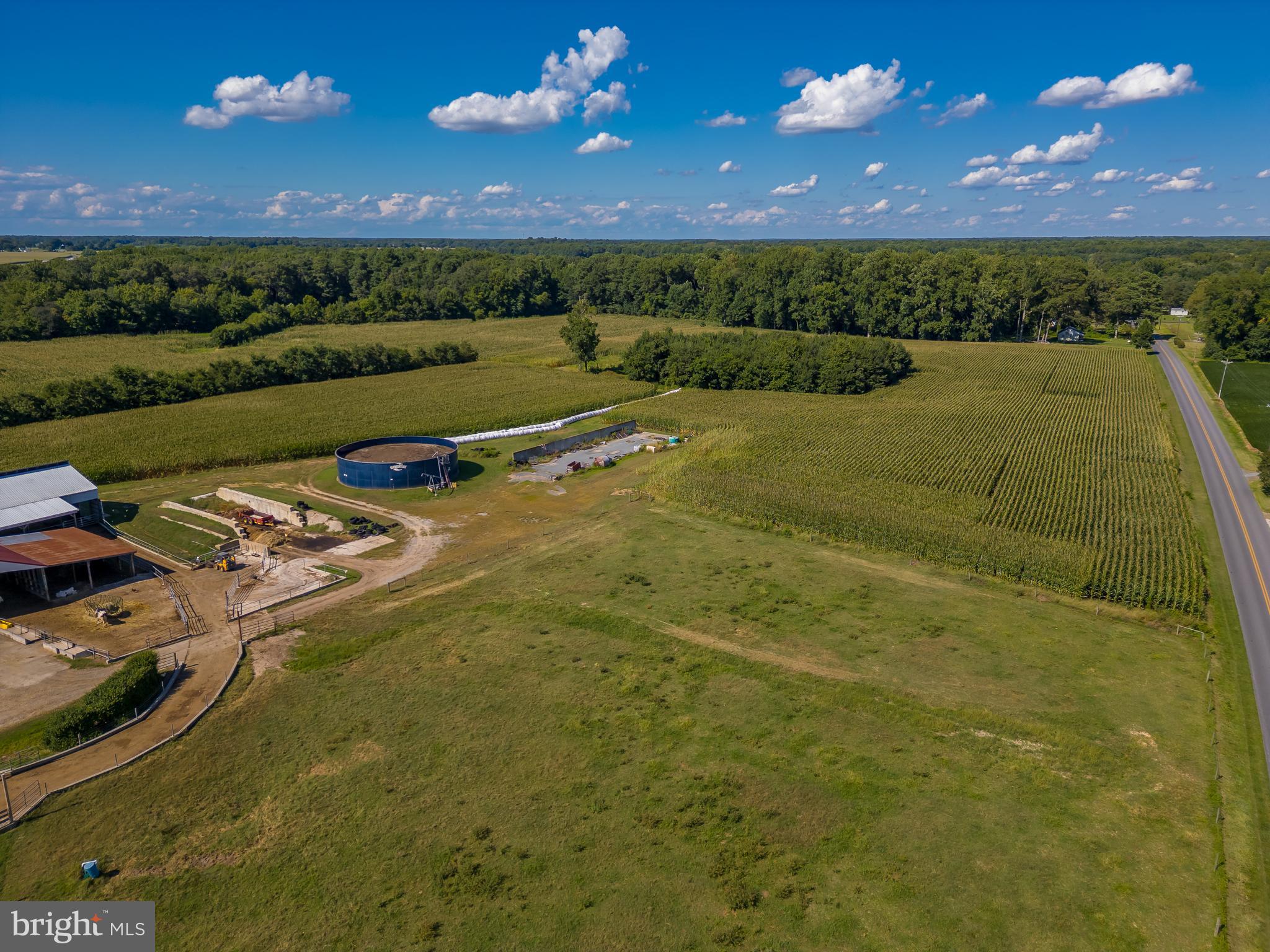 10380 Chapel Road Easton, MD 21601 - Photo 83 of 95