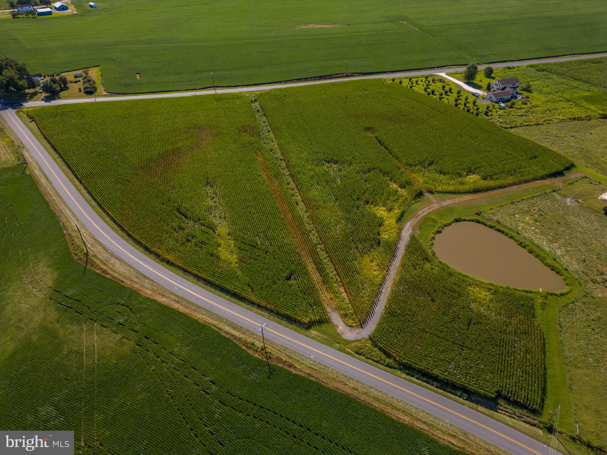 10380 Chapel Road Easton, MD 21601 - Photo 88 of 95