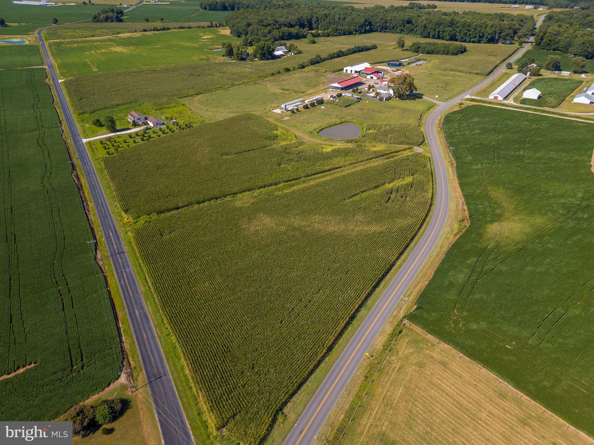 10380 Chapel Road Easton, MD 21601 - Photo 89 of 95