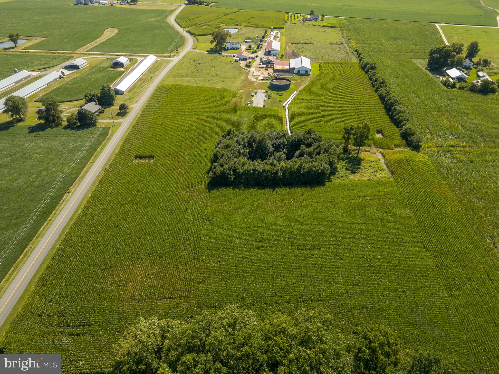 10380 Chapel Road Easton, MD 21601 - Photo 94 of 95 a view of a lake with a large yard
