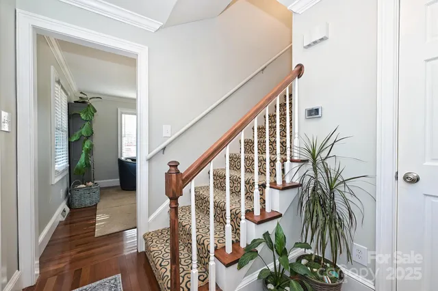 a view of staircase with wooden floor and a potted plant