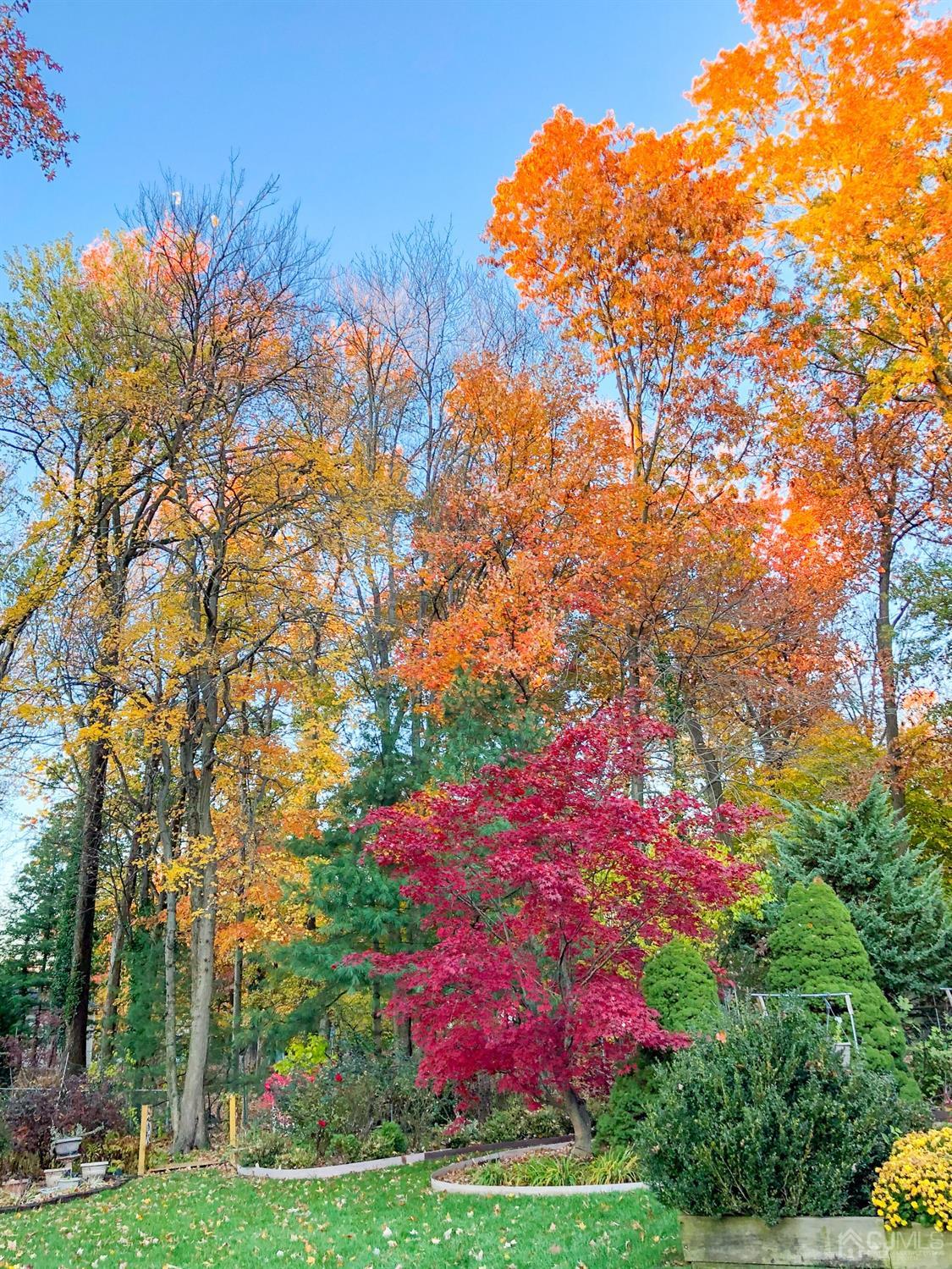 61 Stephenville Parkway Edison, NJ 08820 - Photo 29 of 32 a view of yard with swimming pool and green space