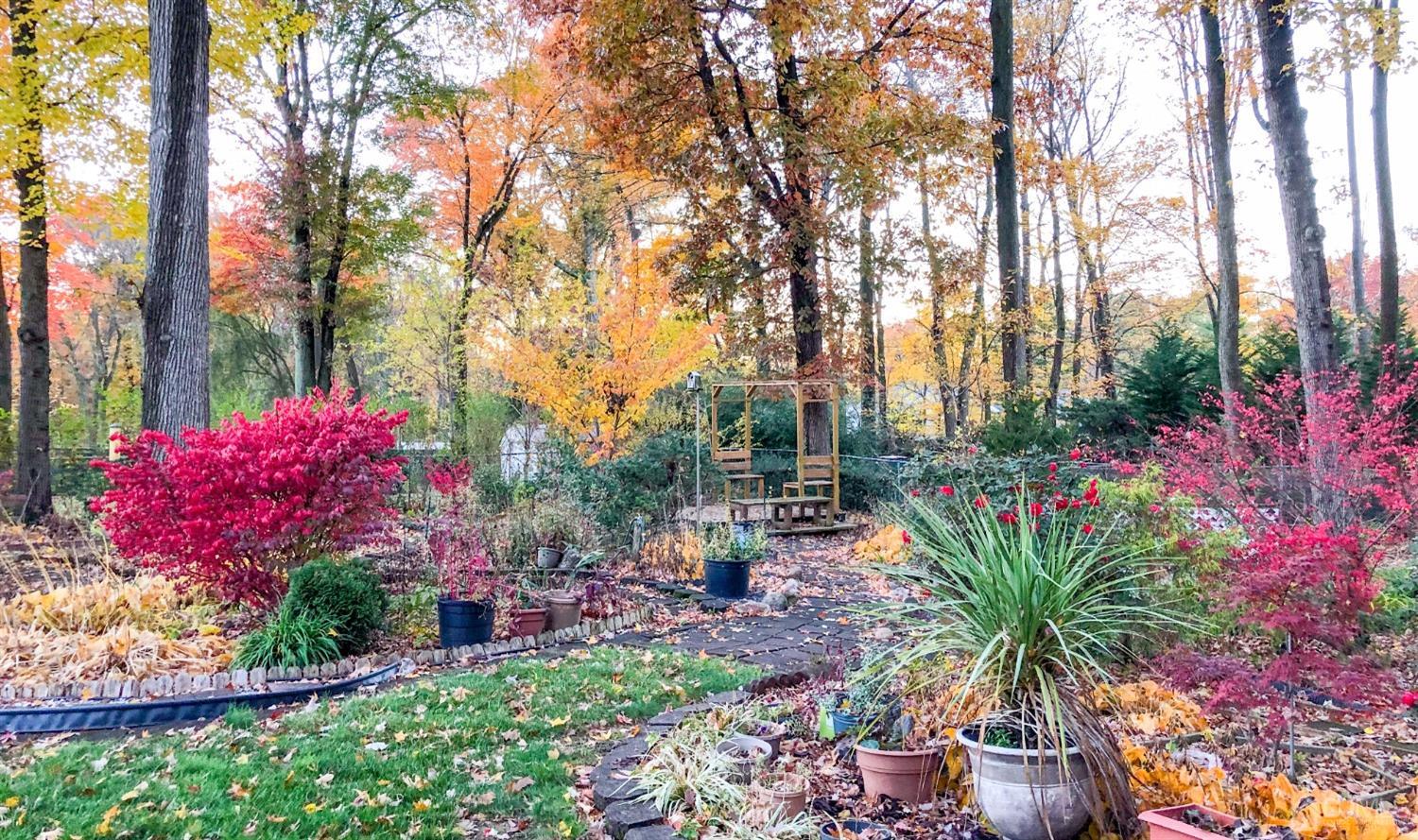 61 Stephenville Parkway Edison, NJ 08820 - Photo 30 of 32 a picture of flowers