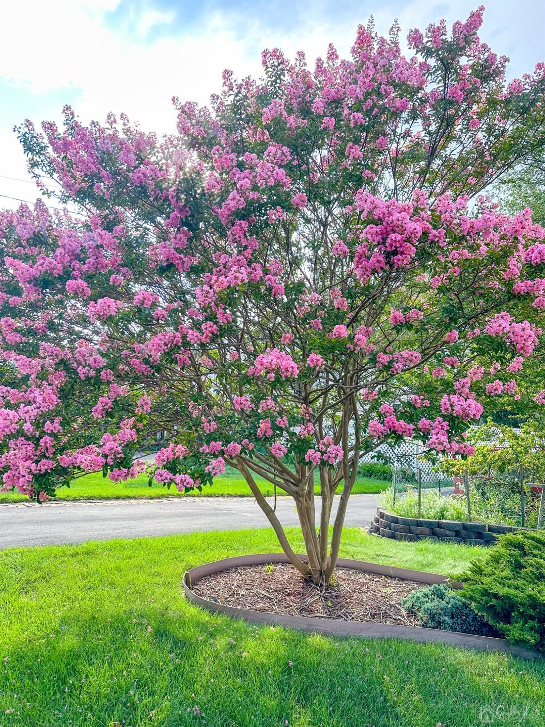 61 Stephenville Parkway Edison, NJ 08820 - Photo 31 of 32 a view of a flower in a garden