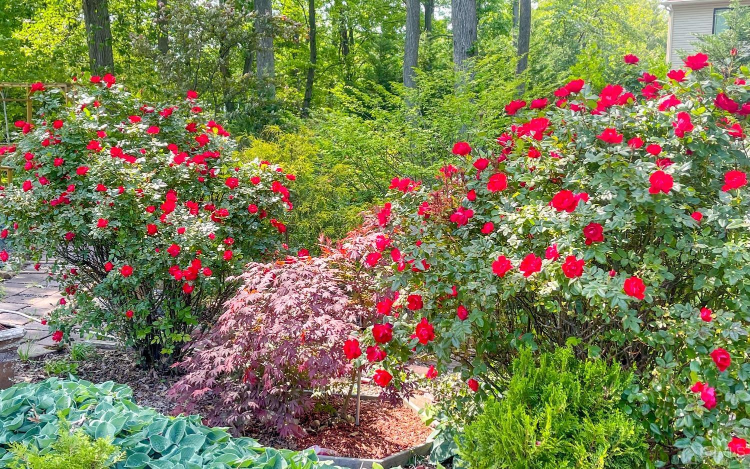 61 Stephenville Parkway Edison, NJ 08820 - Photo 32 of 32