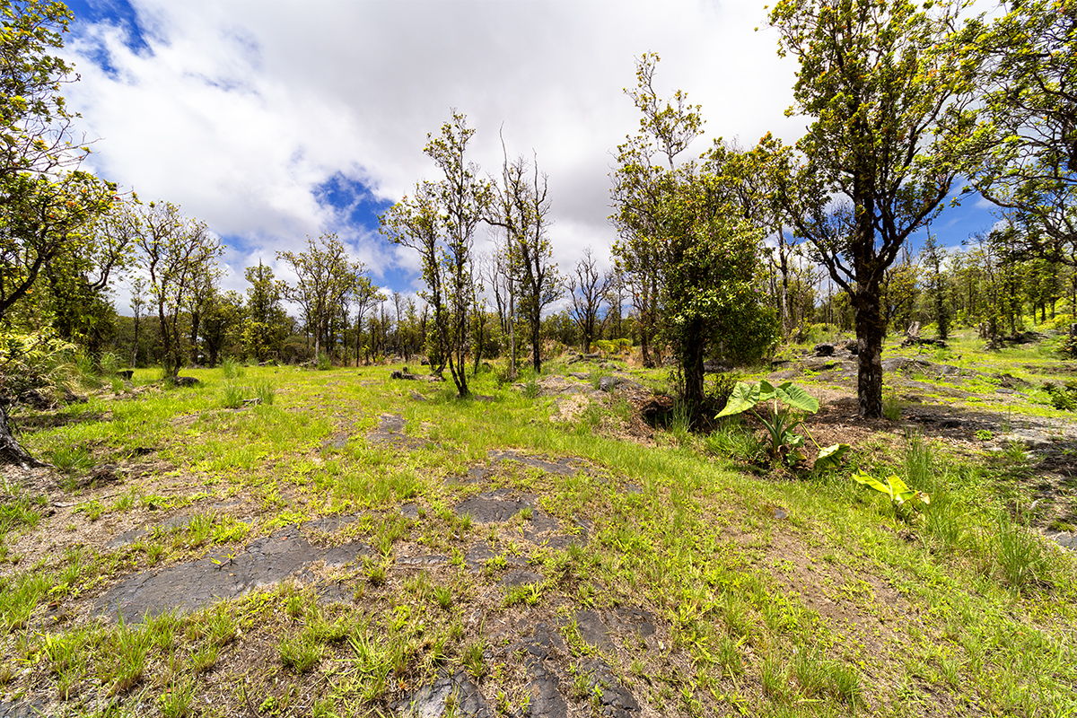 11-2026 Lot 31 Leila Road Mountain View, HI 96771 - Photo 12 of 19