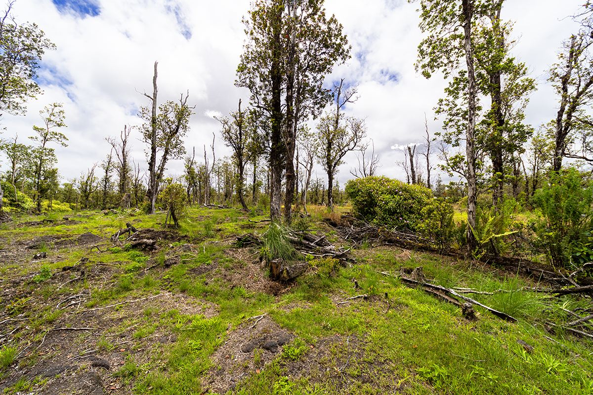 11-2026 Lot 31 Leila Road Mountain View, HI 96771 - Photo 13 of 19