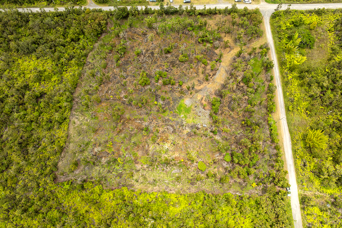 11-2026 Lot 31 Leila Road Mountain View, HI 96771 - Photo 2 of 19