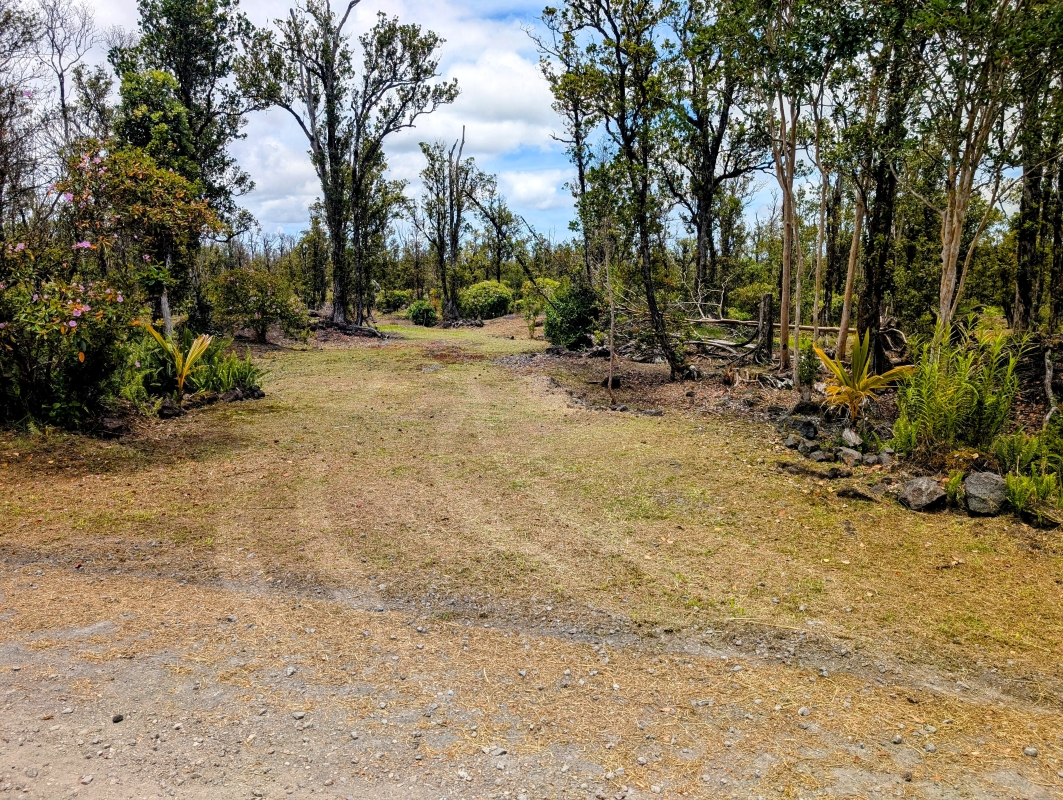11-2026 Lot 31 Leila Road Mountain View, HI 96771 - Photo 3 of 19