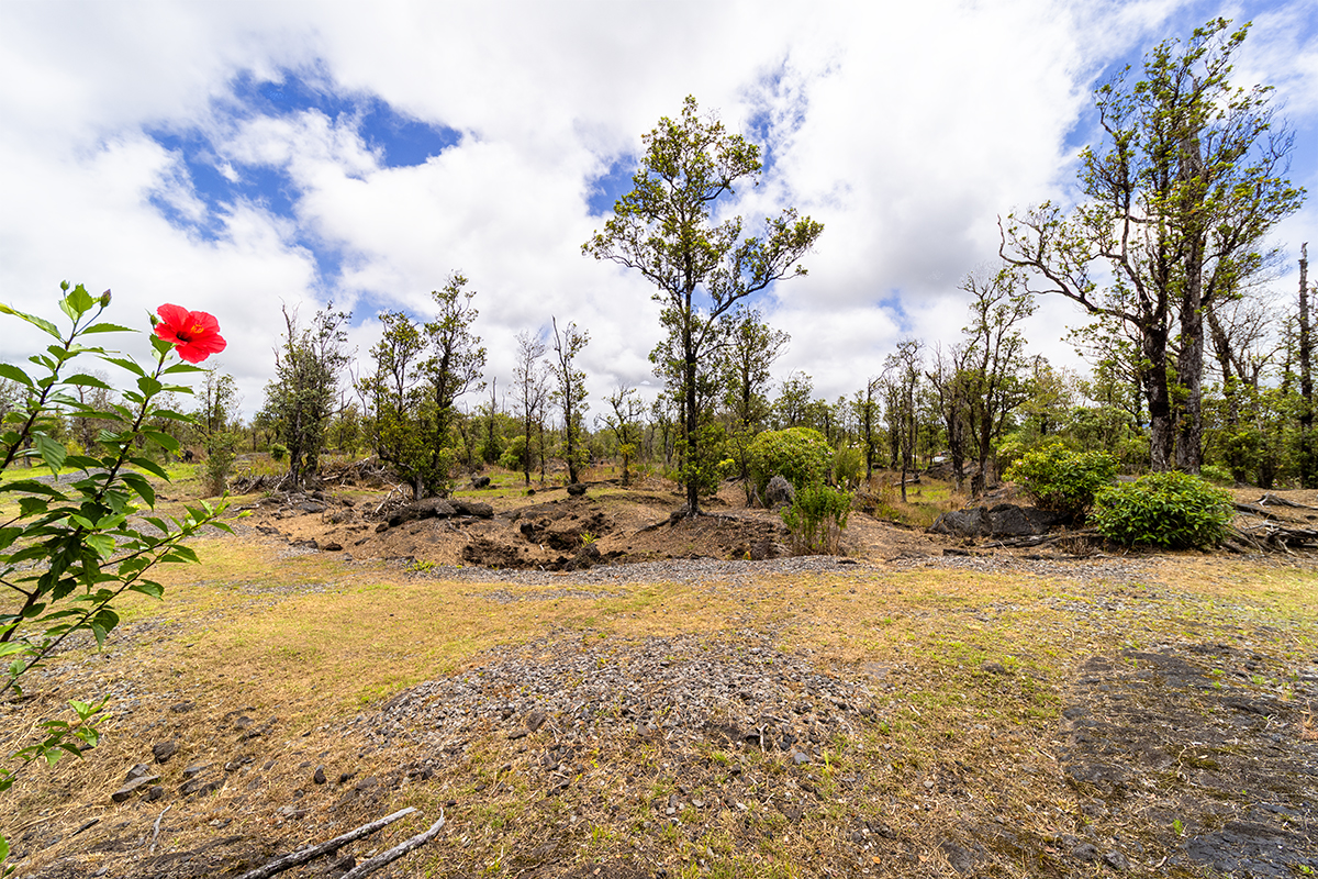 11-2026 Lot 31 Leila Road Mountain View, HI 96771 - Photo 6 of 19