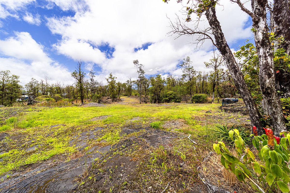 11-2026 Lot 31 Leila Road Mountain View, HI 96771 - Photo 8 of 19