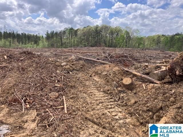 11482 Camp Oliver Road Adger, AL 35006 - Photo 46 of 48