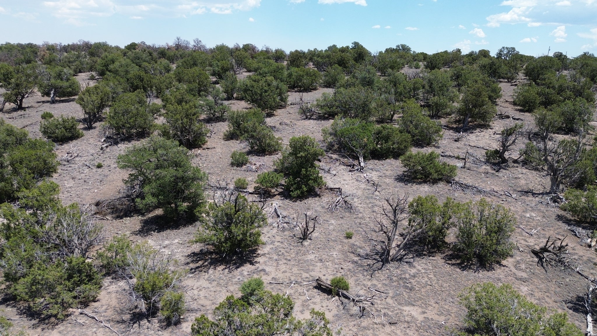 0 Omega Road, Unit 24 Quemado, NM 87829 - Photo 7 of 23 Gallery Image 7
