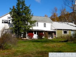 320 High Peak Road Windham, NY 12439 - Photo 2 of 10 a front view of a house with garden