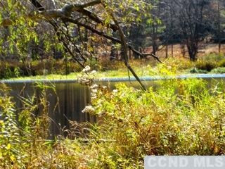 320 High Peak Road Windham, NY 12439 - Photo 5 of 10 a view of yard with green space