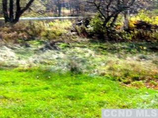 320 High Peak Road Windham, NY 12439 - Photo 6 of 10